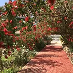 Apart Otel Andriana Agios Georgios (Corfu)