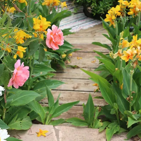 מלון דירות Andriana