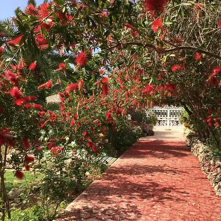 Aparthotel Andriana Agios Georgios (Corfu)